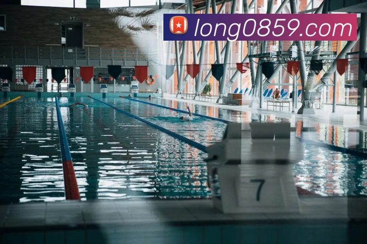 龙8-long8(国际)官方网站APP 封面图